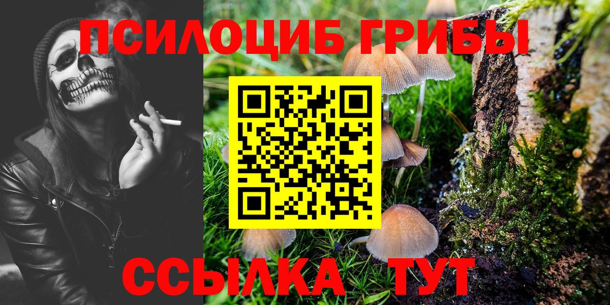 Галлюциногенные грибы мицелий  закладка  Ульяновск  Вход с VPN 