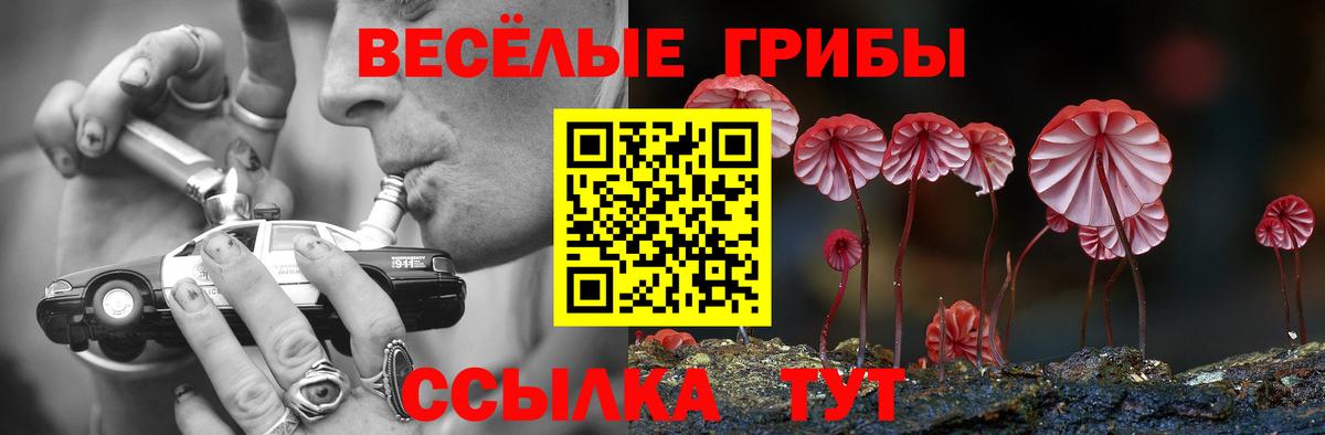 Псилоцибиновые грибы мухоморы Ульяновск